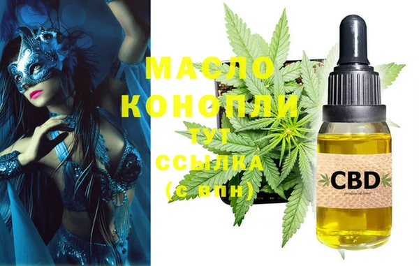 индика Абинск