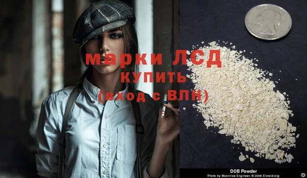 индика Абинск