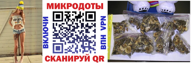 Псилоцибиновые грибы Psilocybe  Тюмень 