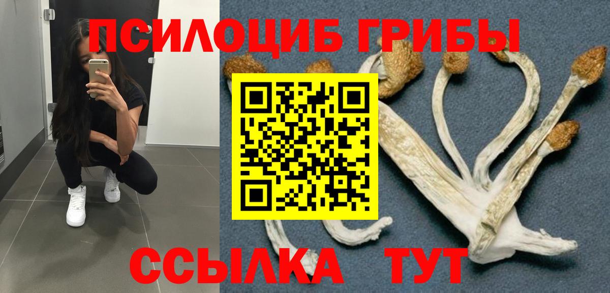 Тюмень  закладка  Вход с VPN  Псилоцибиновые грибы GOLDEN TEACHER 